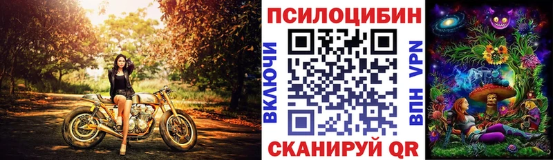 Галлюциногенные грибы Psilocybine cubensis  Мамадыш 
